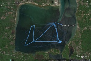 Race 1 August 9th
